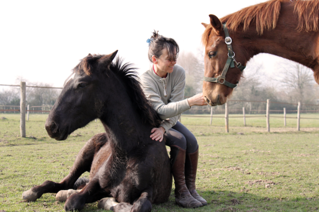 COACHING FACILITÉ AVEC LES CHEVAUX